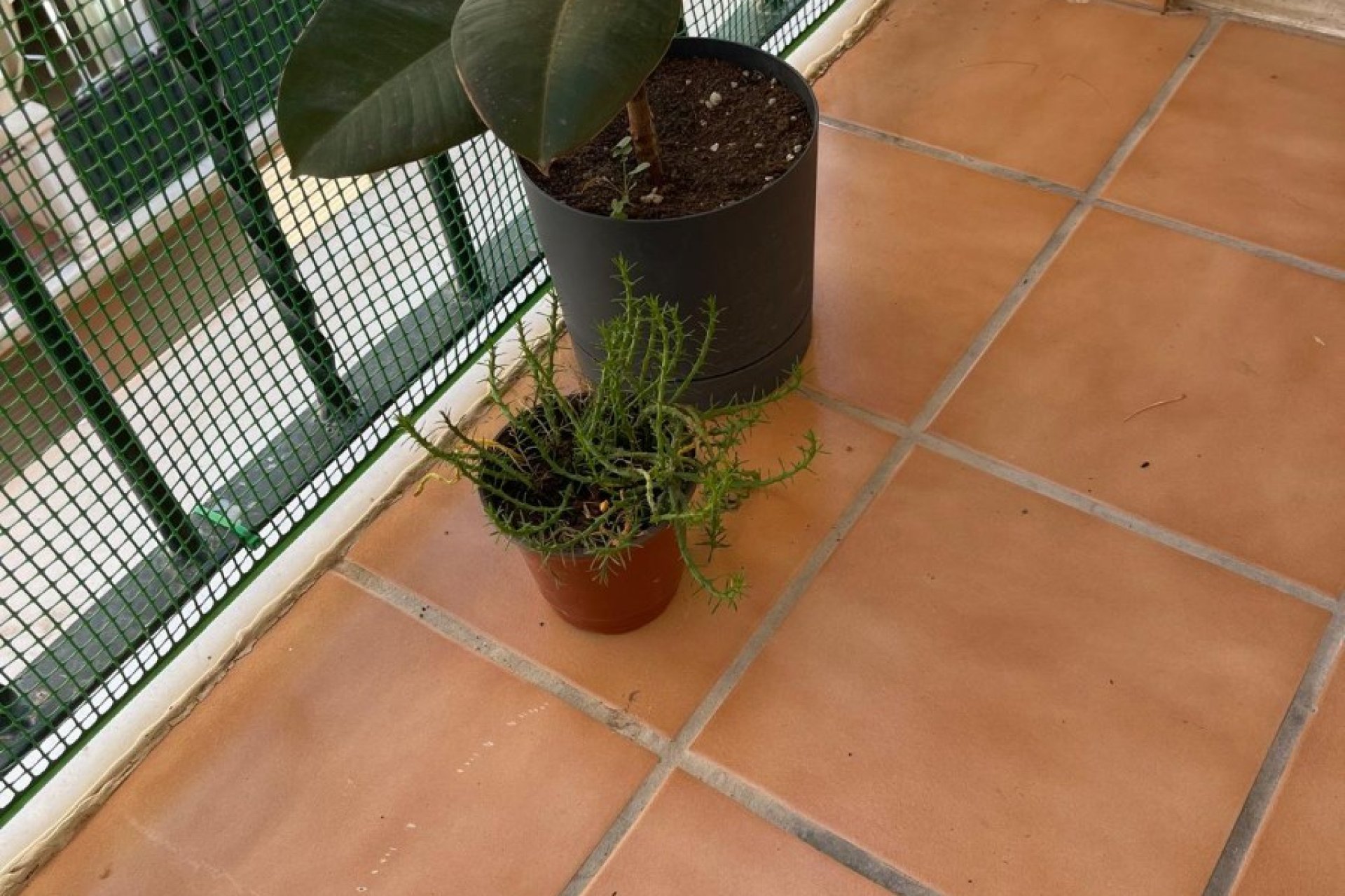 Resale - Apartment - Almoradí