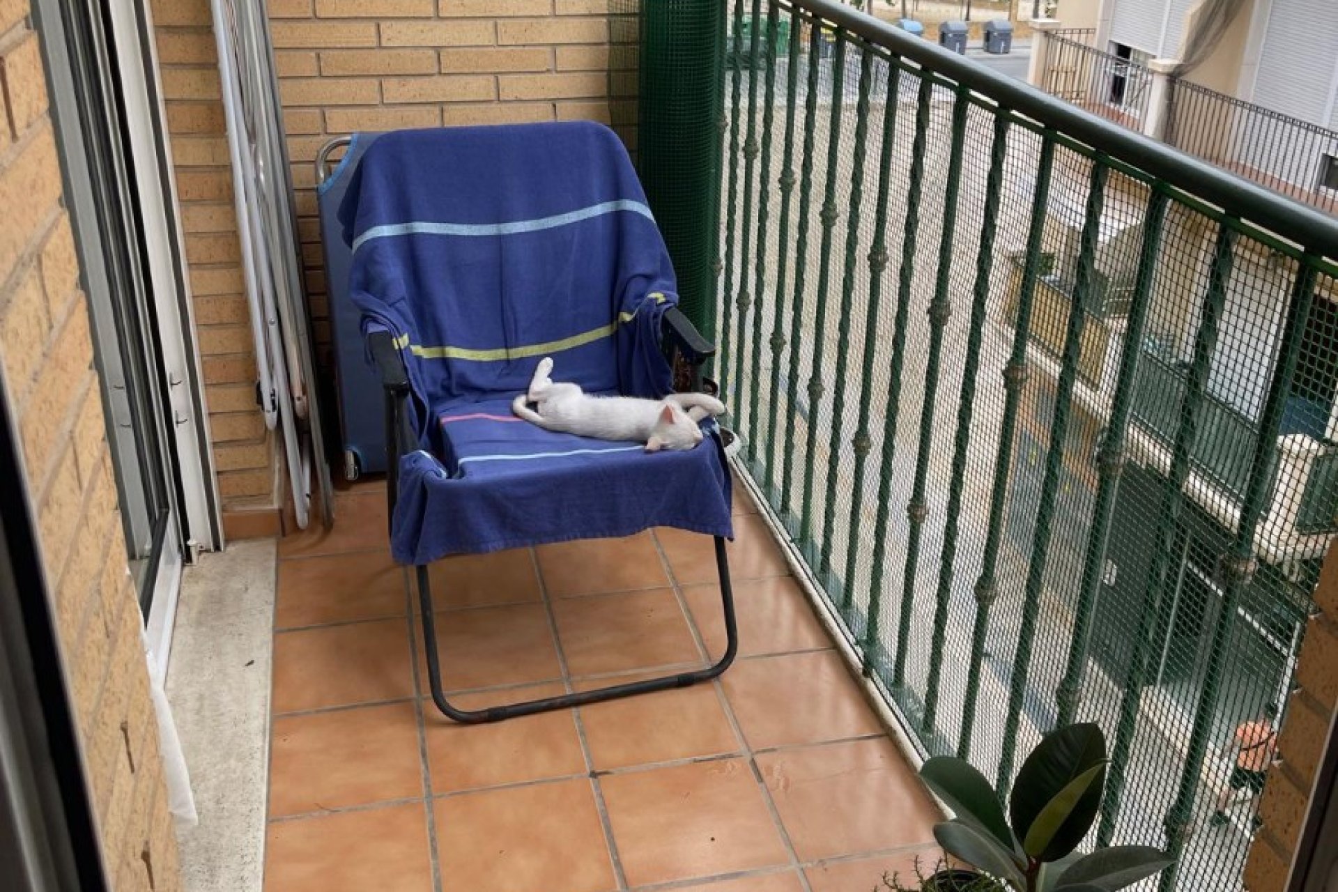 Resale - Apartment - Almoradí