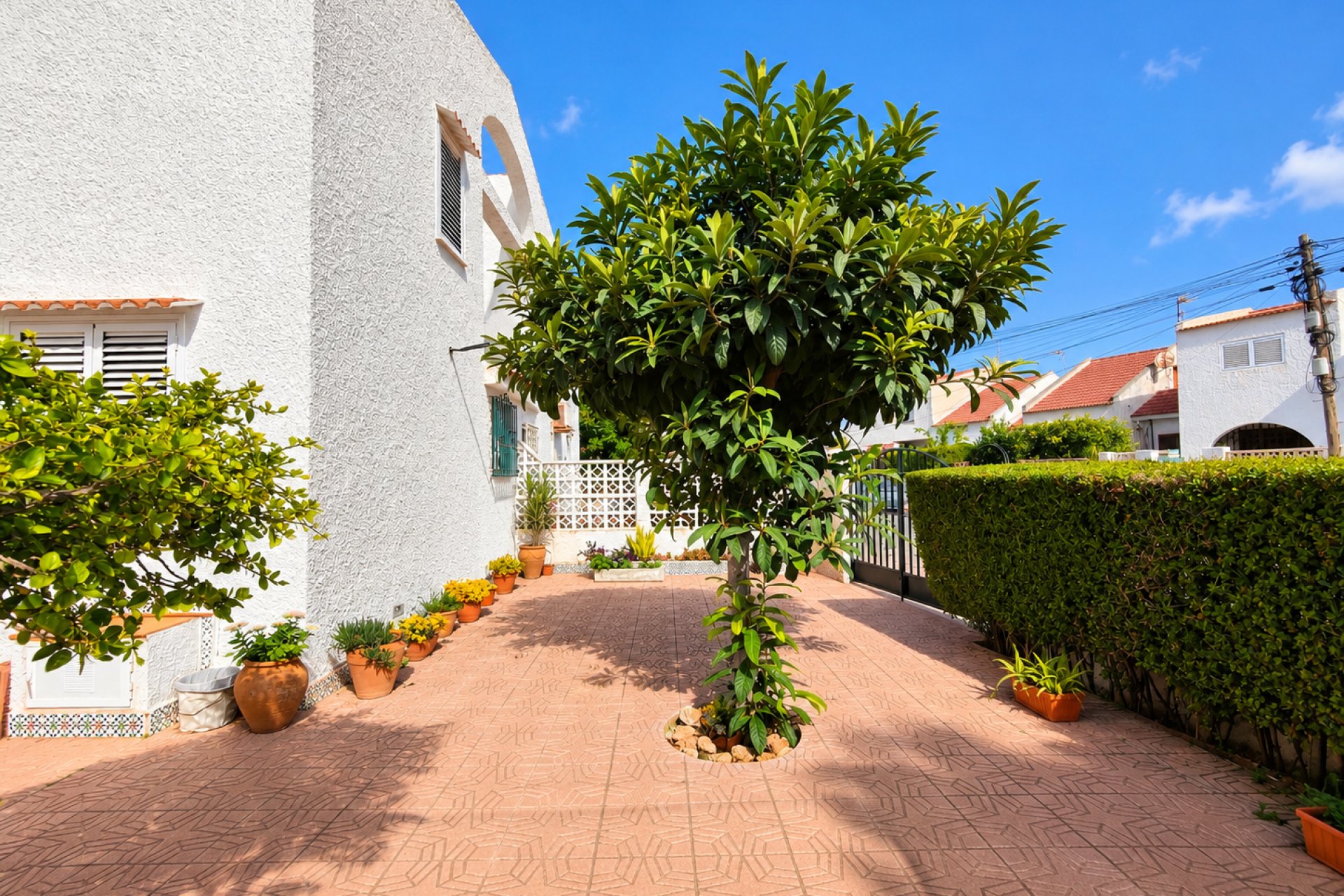 Rynek wtórny - Kamienica - Torrevieja