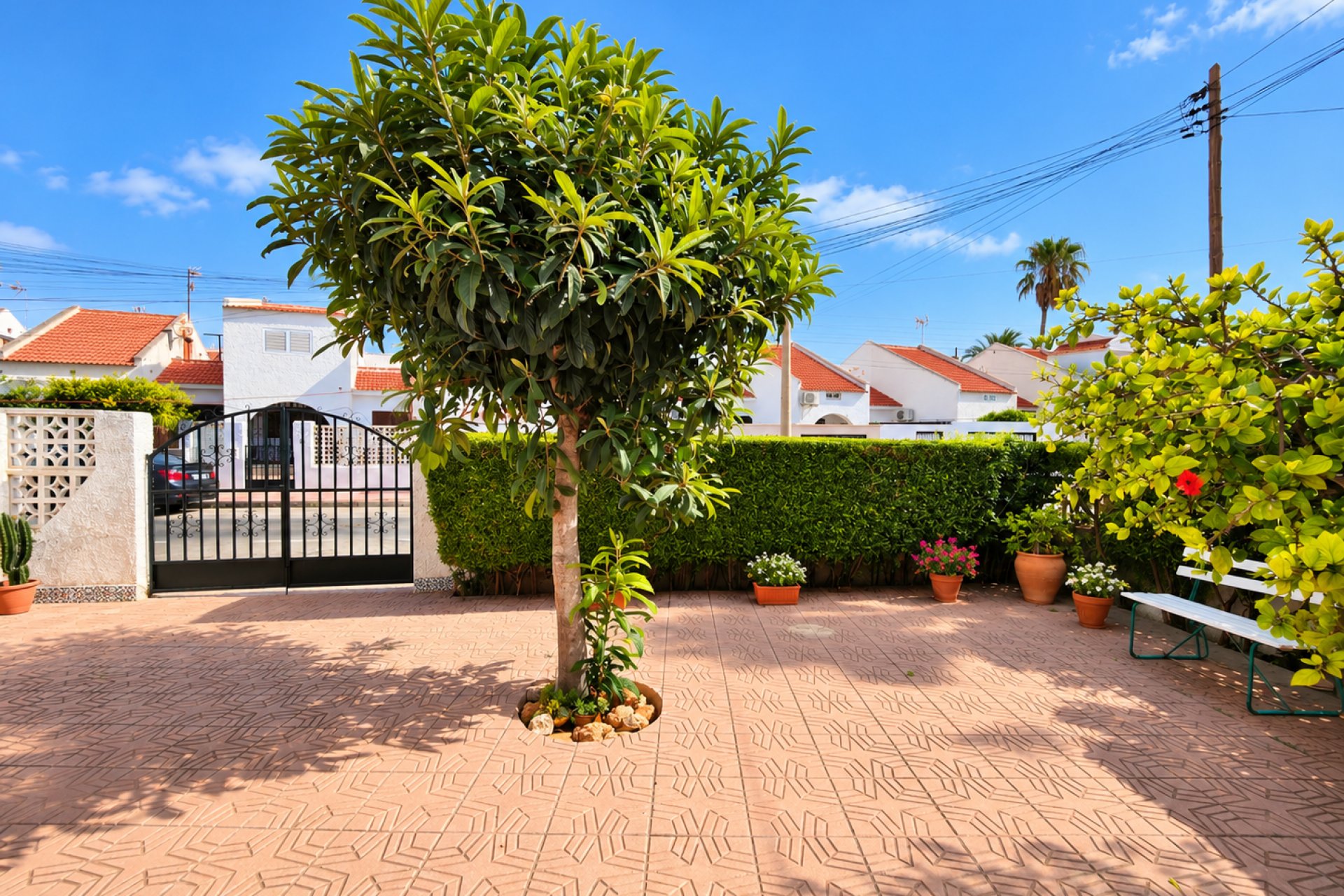 Rynek wtórny - Kamienica - Torrevieja