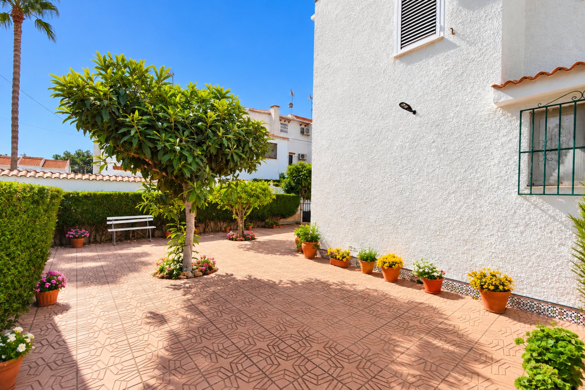 Rynek wtórny - Kamienica - Torrevieja