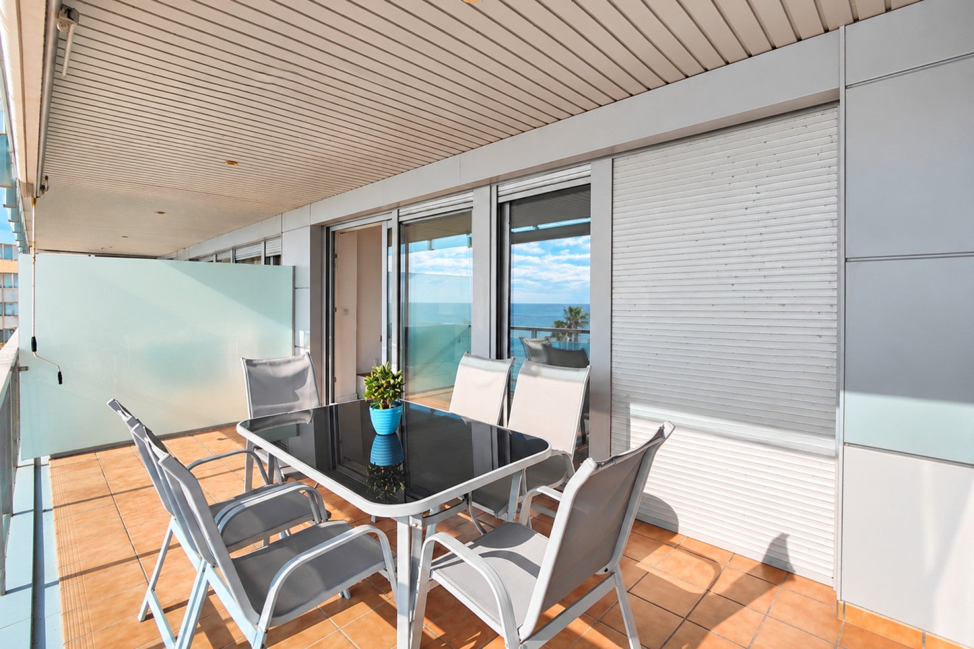 Reventa - Apartamento - Torrevieja