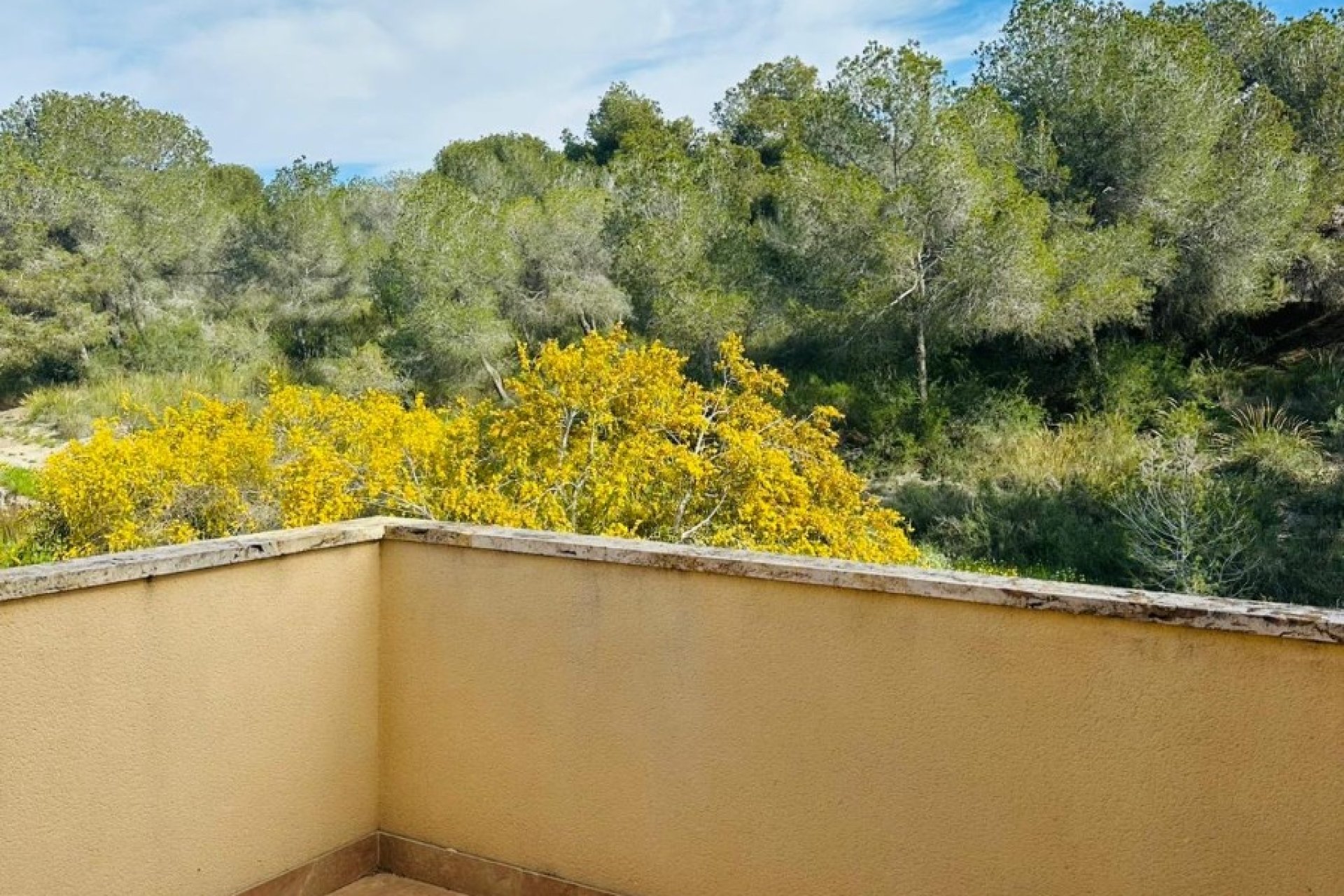Reventa - Villa - Pilar de la Horadada - Costa Blanca Sur