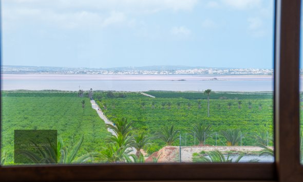 Upper-floor bungalow · Short Term Rental - Torrevieja · Alicante · Spain