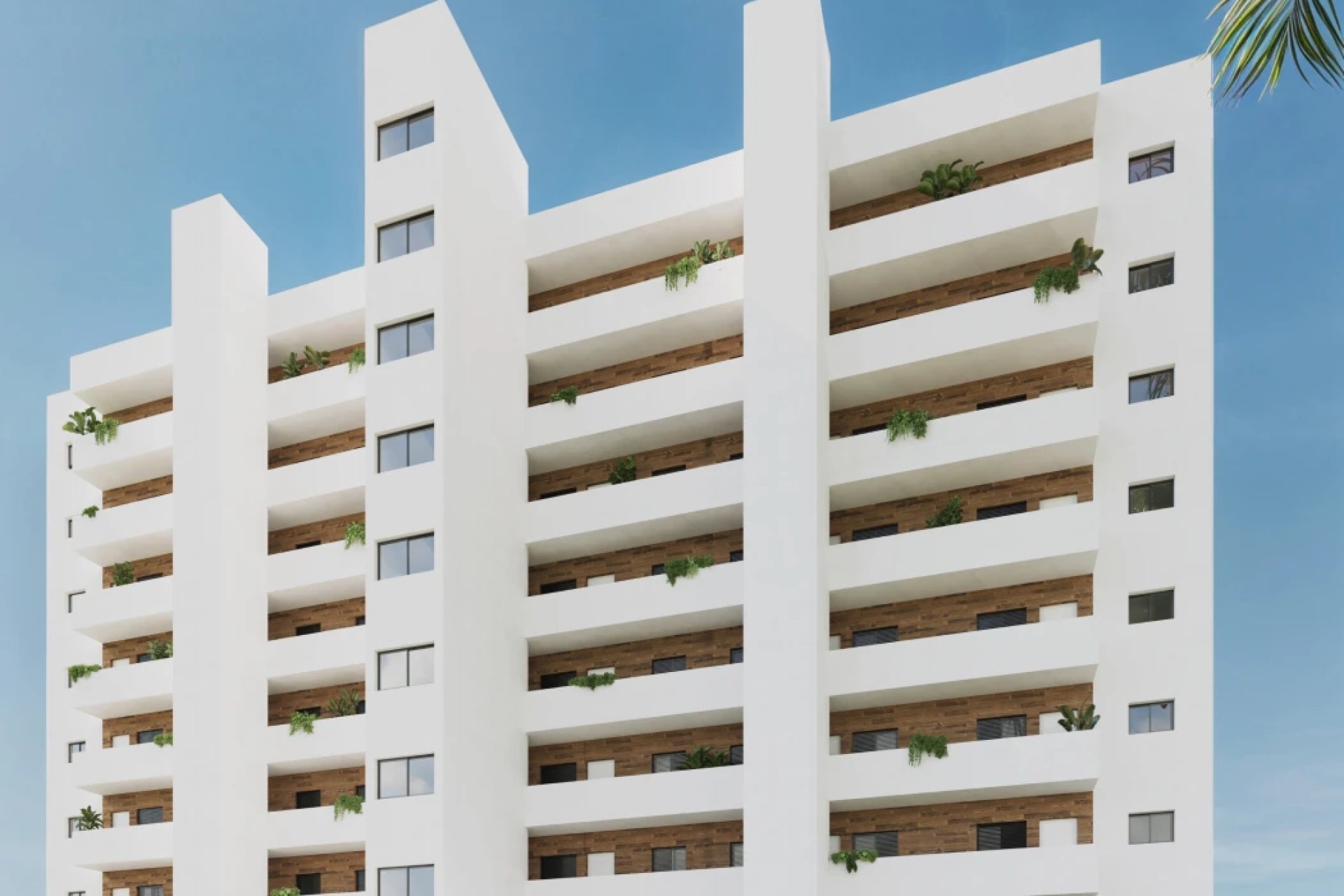 Obra nueva - Planta baja - Benidorm - Costa Blanca Norte