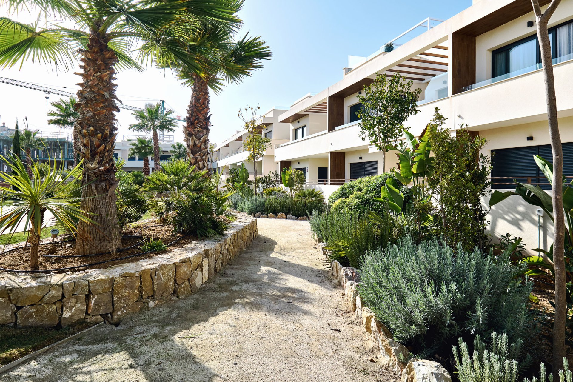 Obra nueva - Bungalow en planta baja - Torrevieja - Costa Blanca Sur
