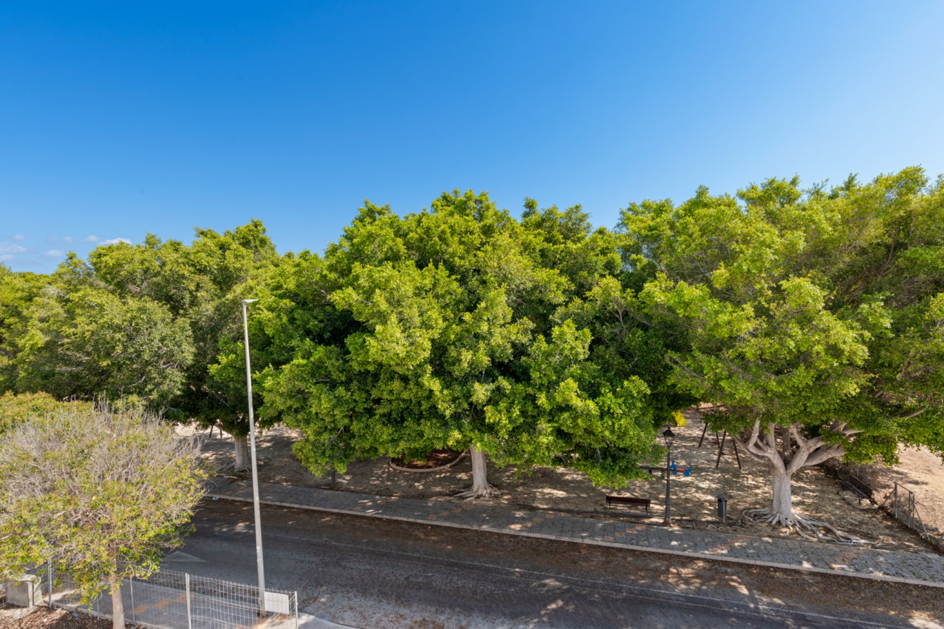 New Build - Villa - Mil Palmeras - Costa Blanca South
