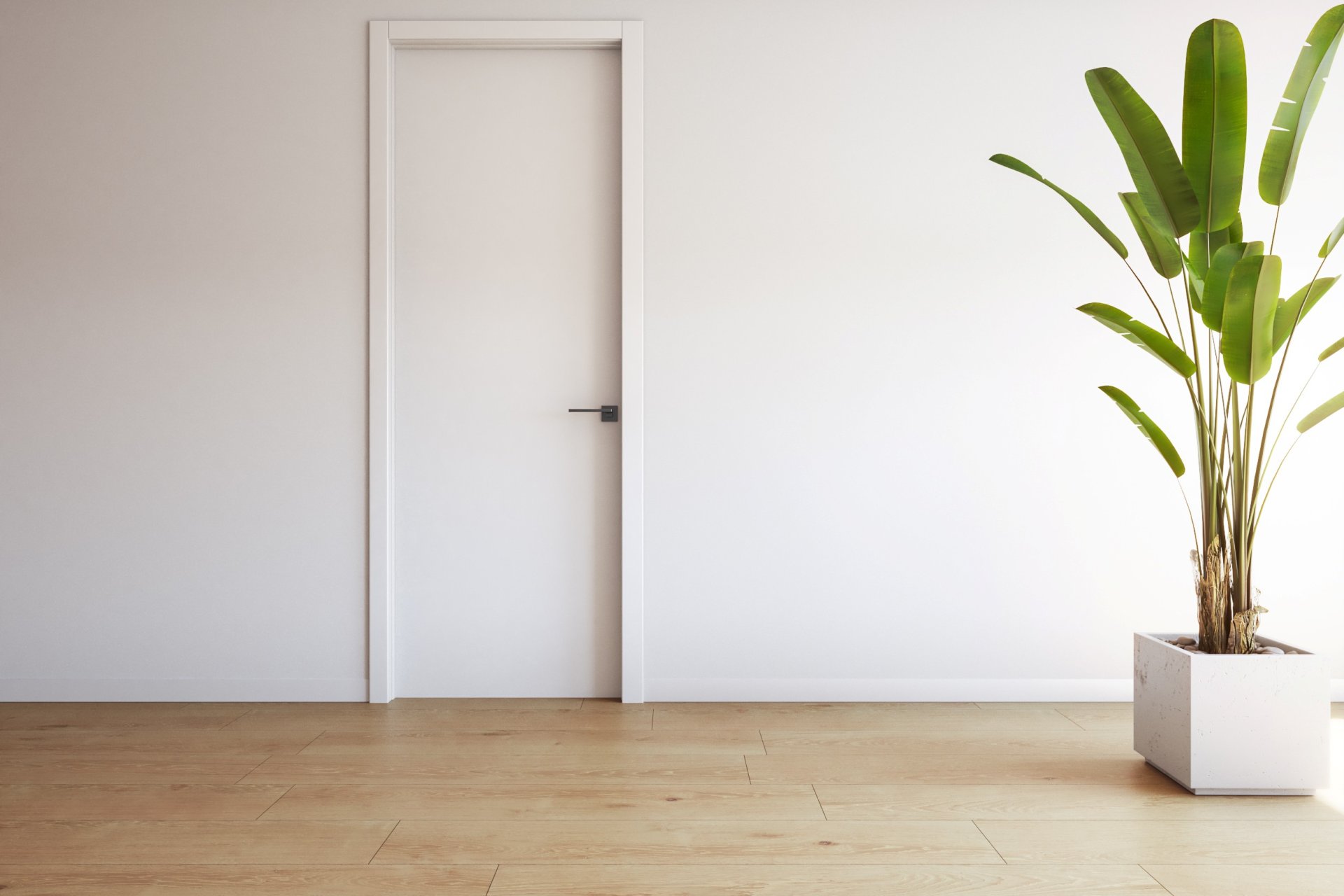 New Build - Apartment - Torrevieja - Costa Blanca South