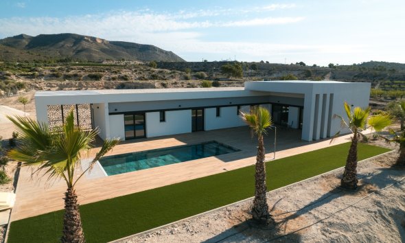 Detached in Pinoso