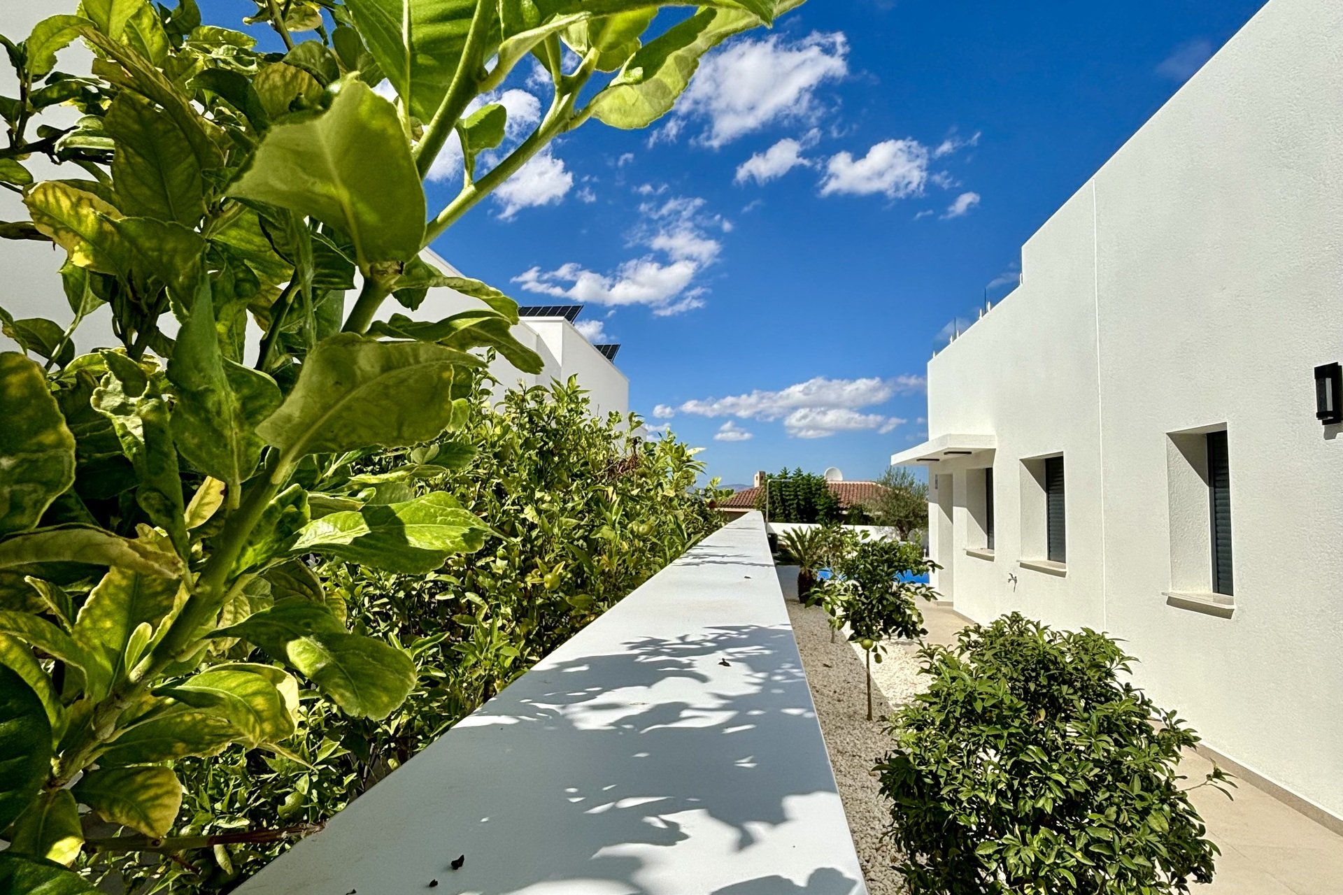 New Build - Detached villa - Benijofar - Costa Blanca South
