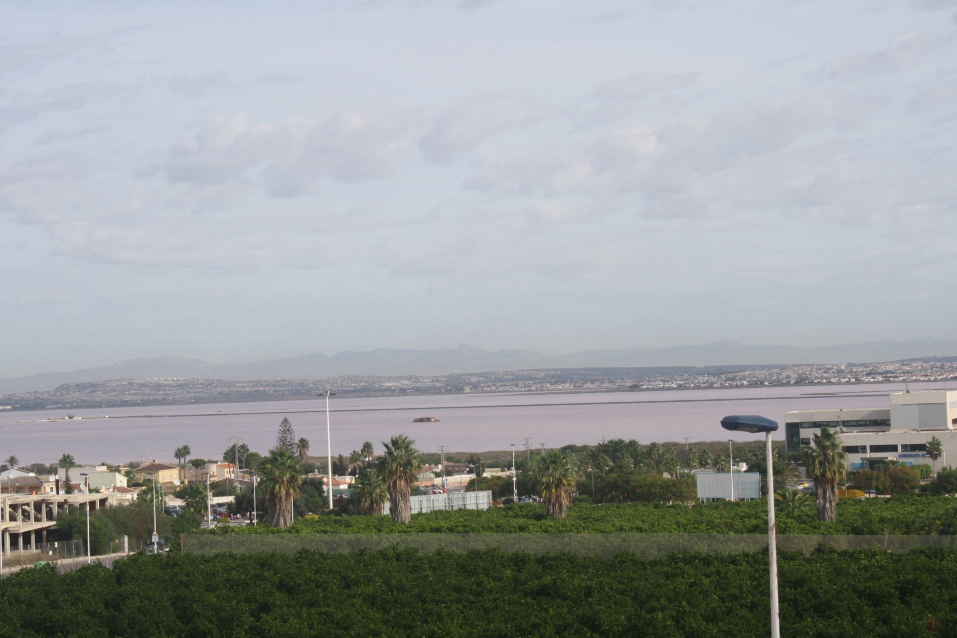 New Build - Semi-detached house - Torrevieja - Costa Blanca South