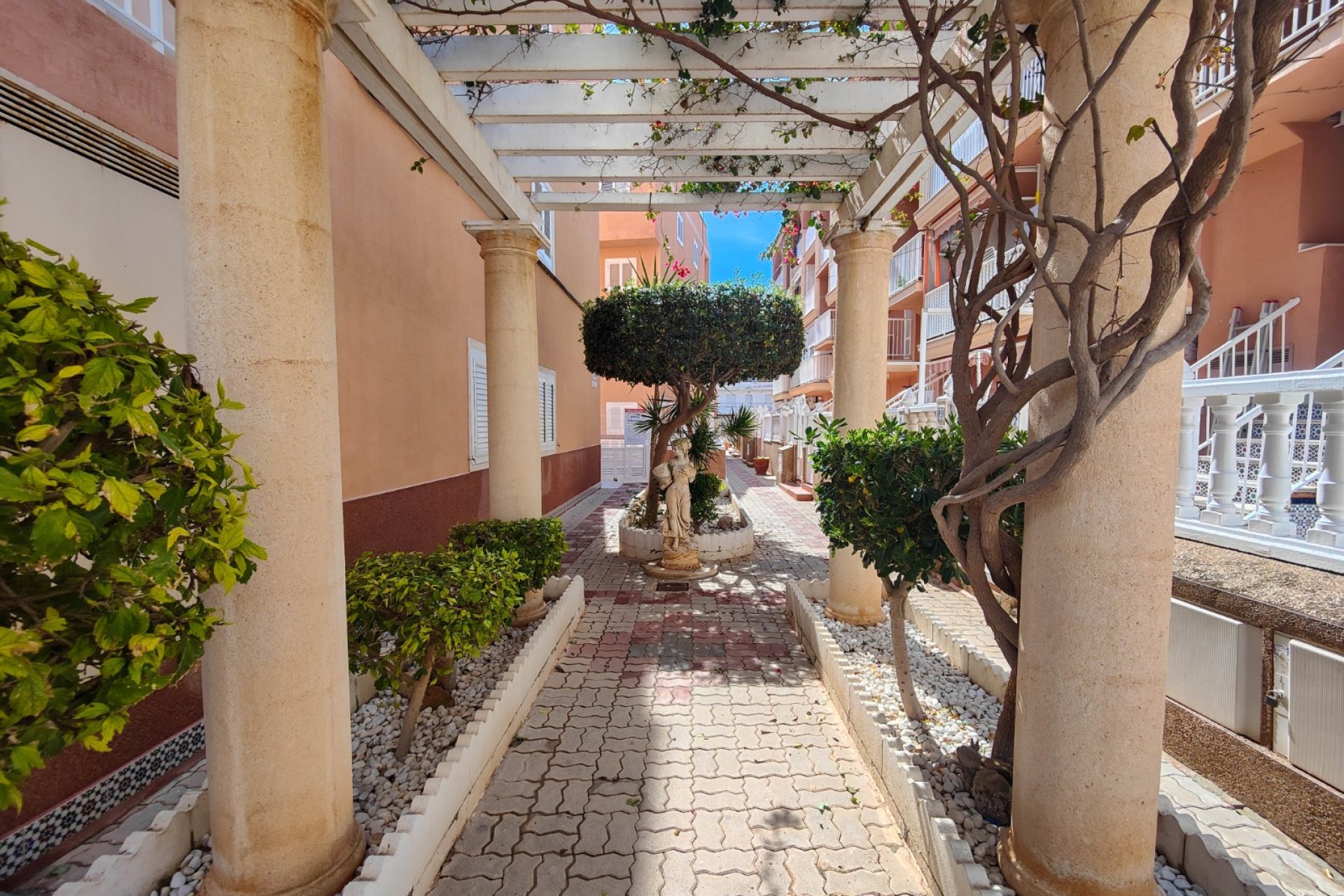 Odsprzedaż - Daszek - Torrevieja - Costa Blanca South